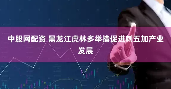 中股网配资 黑龙江虎林多举措促进刺五加产业发展