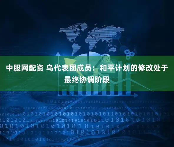 中股网配资 乌代表团成员：和平计划的修改处于最终协调阶段